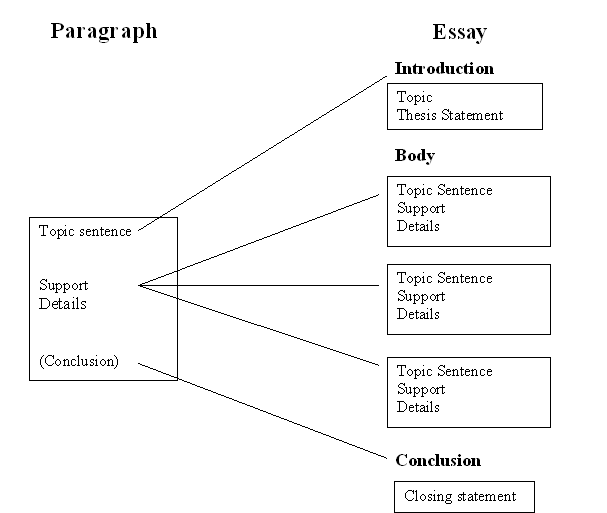 Clean Up The Environment Essay