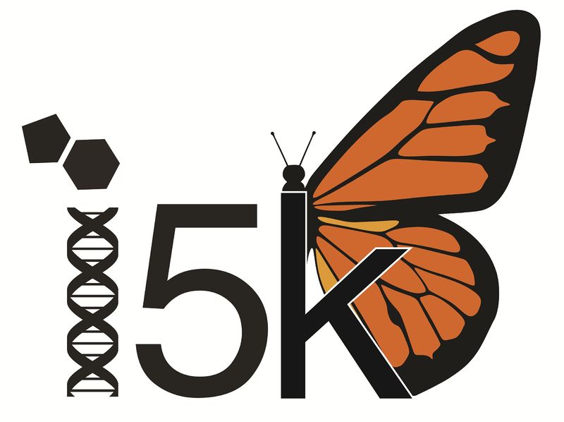 i5k logo