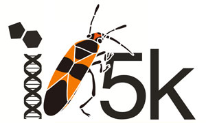 milkweed bug i5K logo
