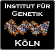 Back to the homepage of the Institute for Genetics