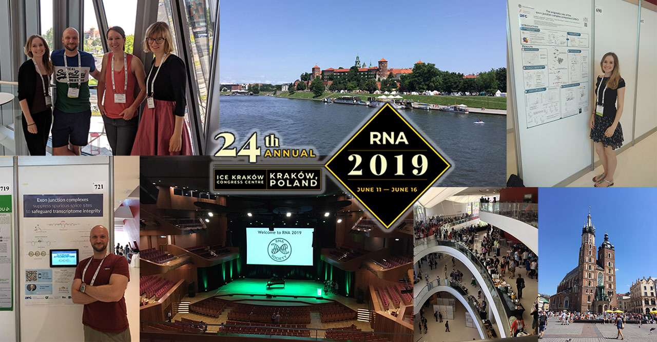 RNA2019