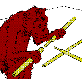KOEHLER - Versuche mit Affen