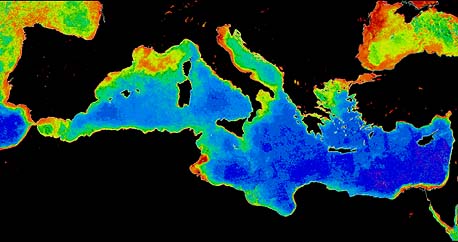 Biomasse des Phytoplanktons im Mittelmeer