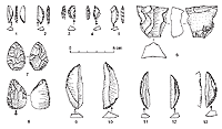 Reference Stratigraphy