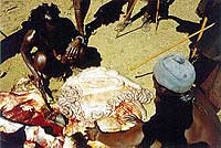 Namibian People 2