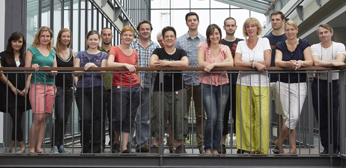 hammerschmidtgruppewebpub2013