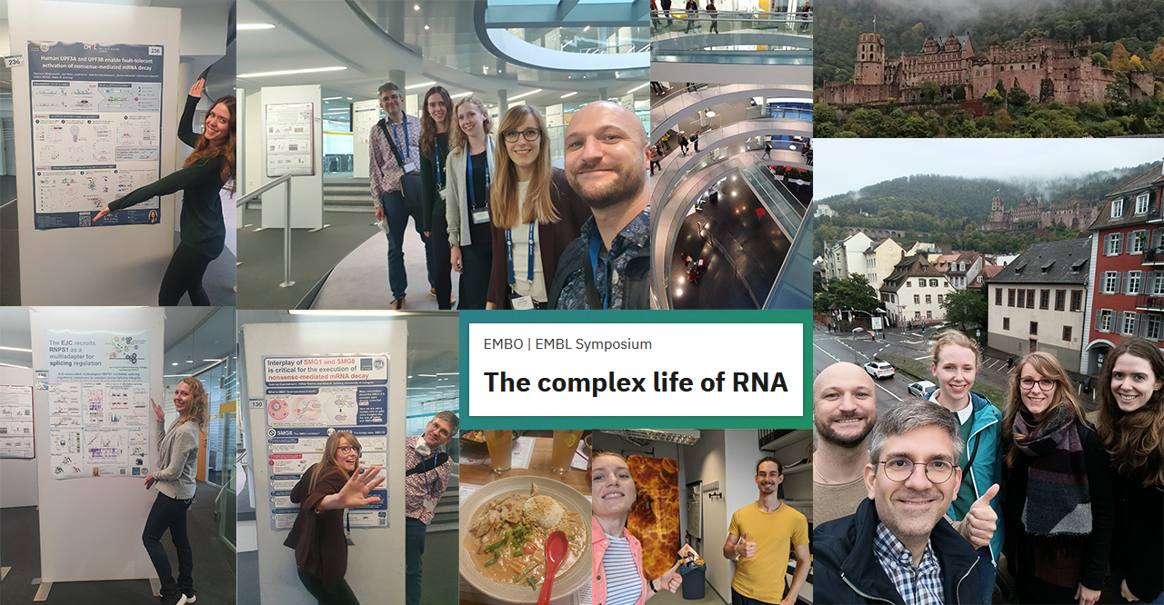 Complex Life RNA 2022