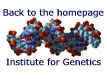Genetik