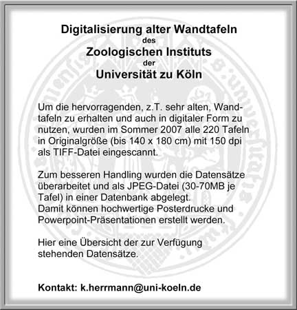 001 Digitalisierung 3