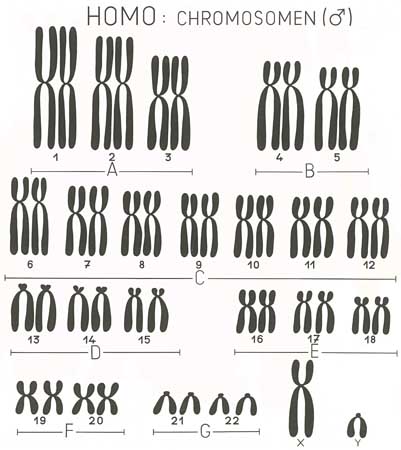 A028_I