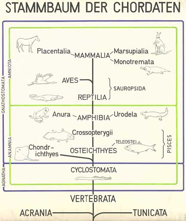 A060