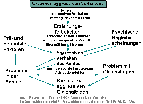 Ursachen aggressiven Verhaltens