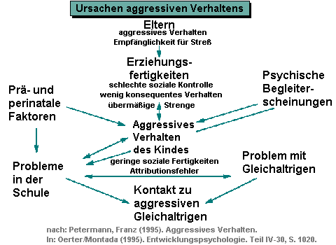 Ursachen aggressiven Verhaltens (Test)