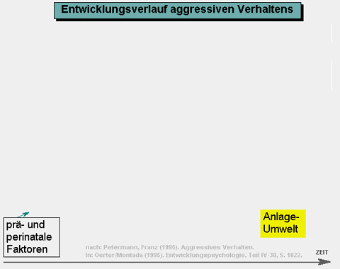 Entwicklungsverlauf aggressiven Verhaltens