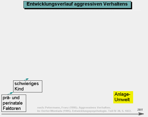 Entwicklungsverlauf aggressiven Verhaltens