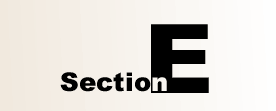 Section E