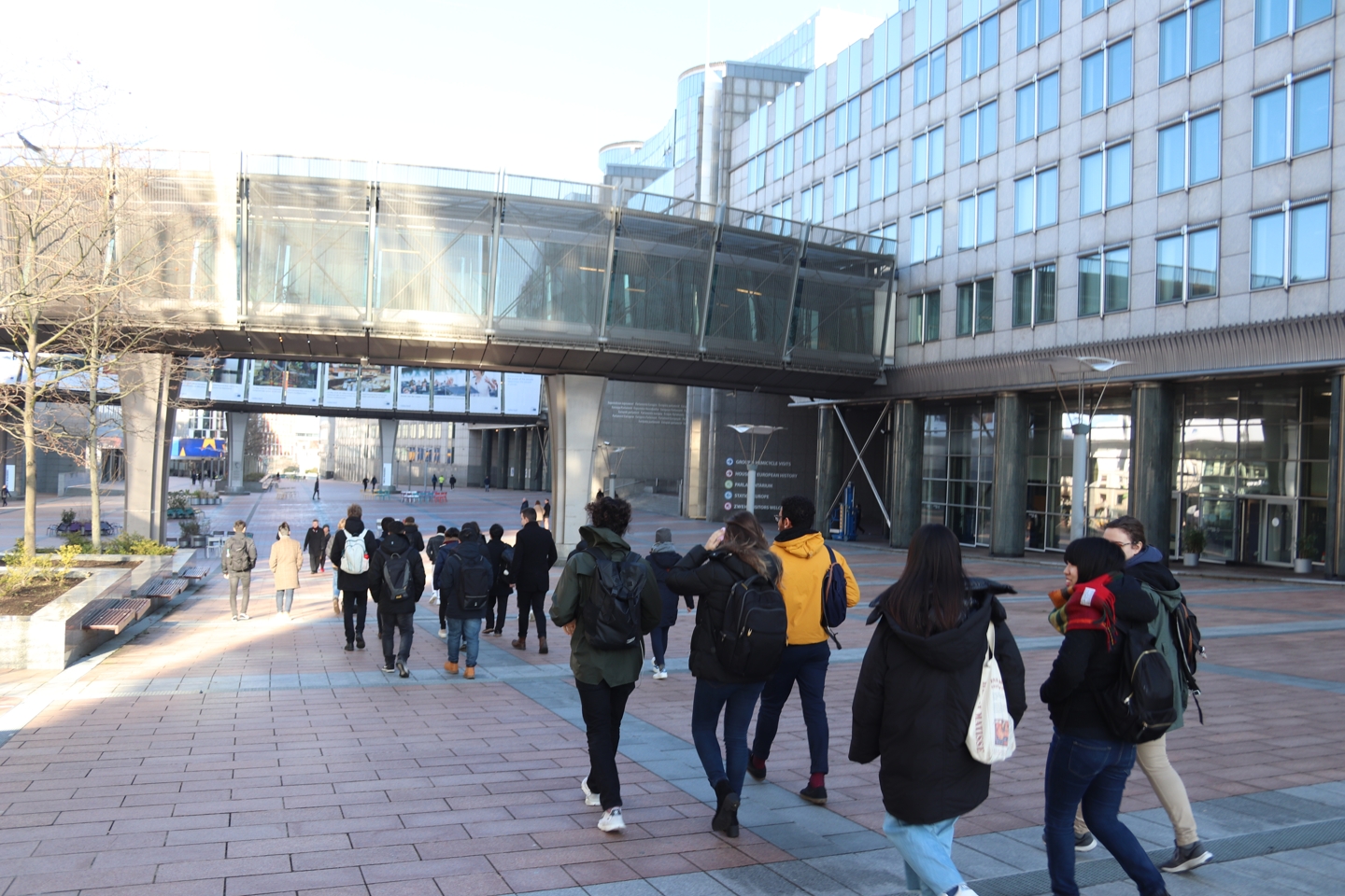 Back view of a group of students walking.