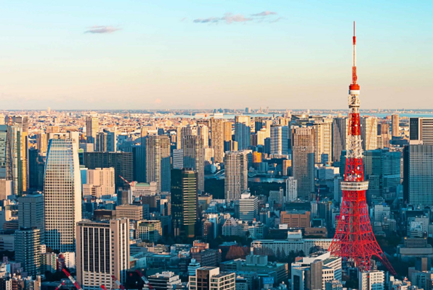 German-Japanese Scientific Cooperation on the Rhine