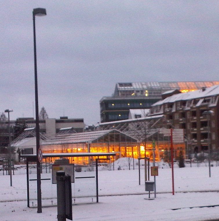 photo of the new biocenter in snow